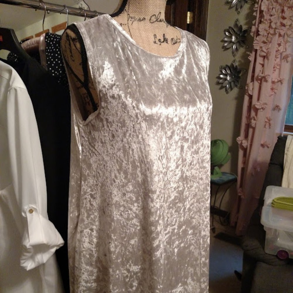 Honey and Lace Velvet Dress NWT